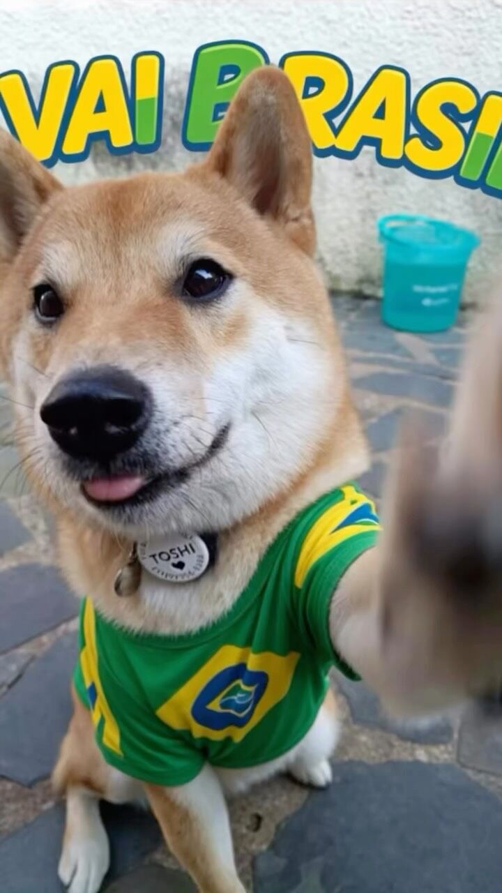 Cão no espaço da creche