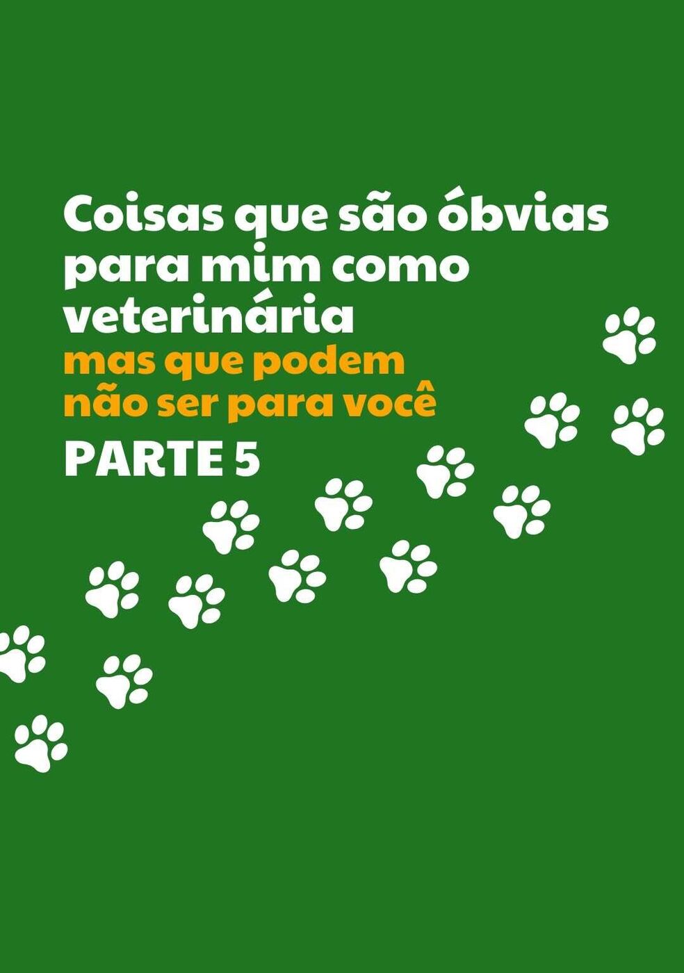 Cão hospedado na casa